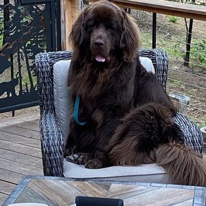 Meet your Posher, Teri